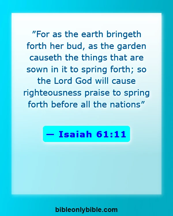 Bible Verses About Flowers Blooming (Isaiah 61:11)