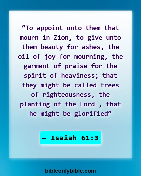 Bible Verses About Letting Go Of Past Hurt (Isaiah 61:3)