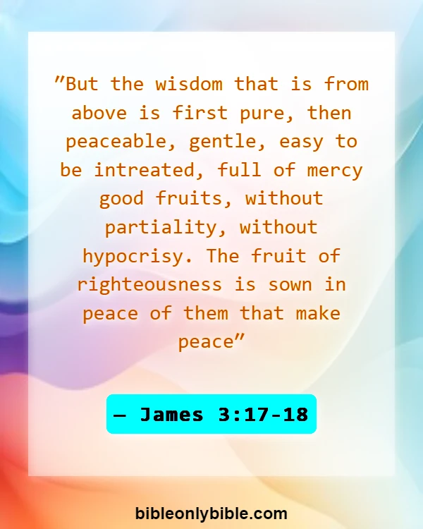Bible Verses About Do Not Argue With A Fool (James 3:17-18)
