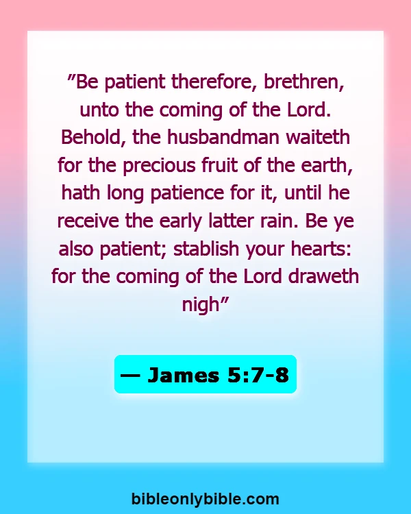 Bible Verses About Patience And God's Timing (James 5:7-8)
