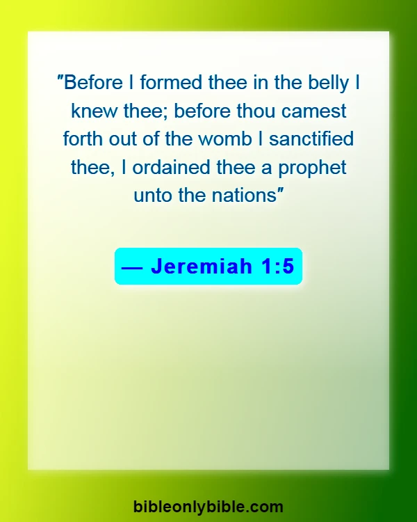 Bible Verses About Set Apart From The World (Jeremiah 1:5)