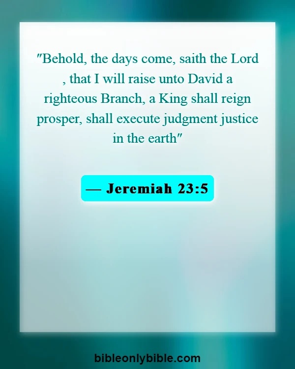 Bible Verses About Christmass (Jeremiah 23:5)