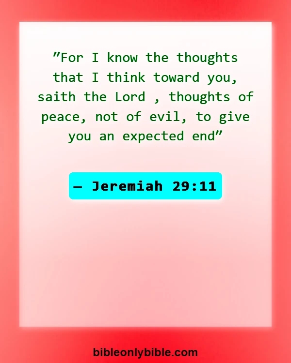 Bible Verses About Excitement (Jeremiah 29:11)