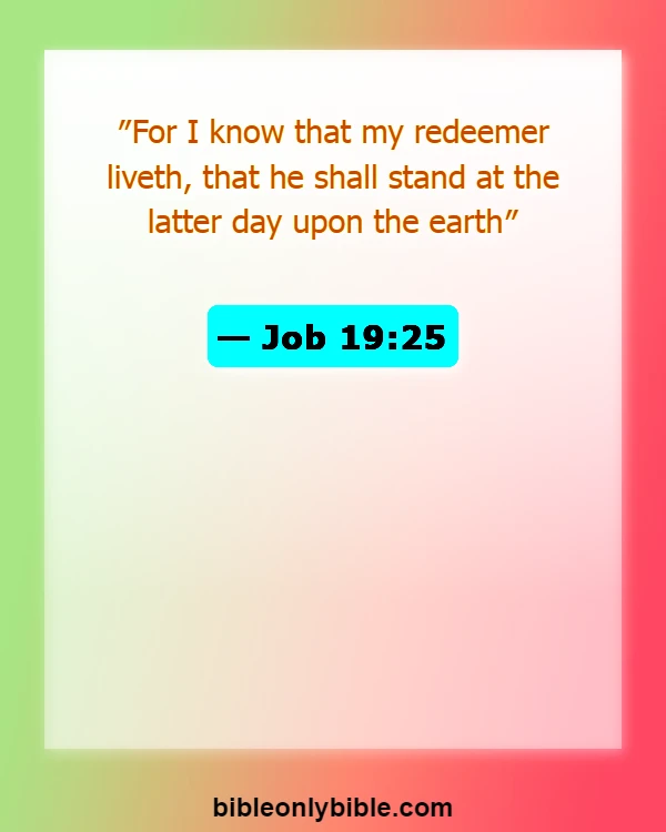Bible Verses About Job Suffering (Job 19:25)