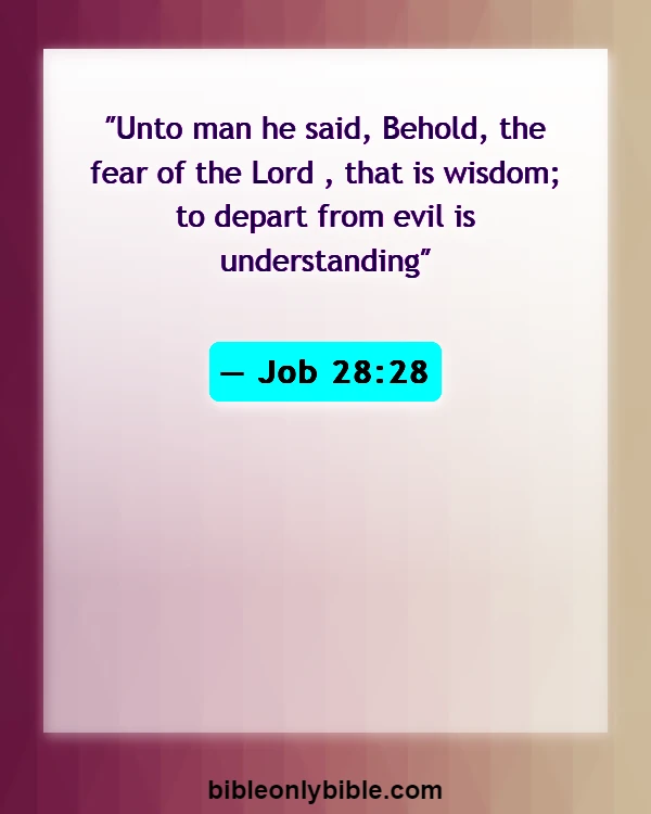 Bible Verses About Age And Wisdom (Job 28:28)