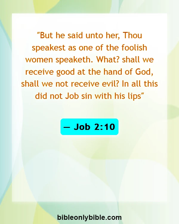 Bible Verses About Patience And Perseverance (Job 2:10)