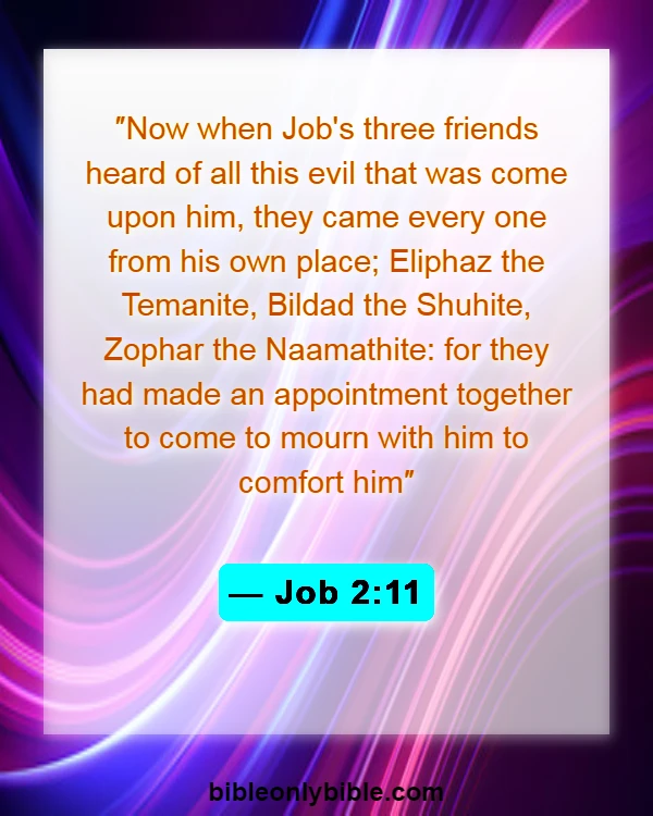 Bible Verses About Job Suffering (Job 2:11)