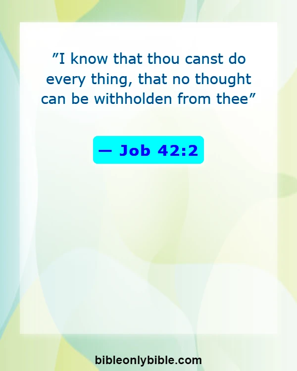 Bible Verses About God Give Us Freedom Of Choice (Job 42:2)