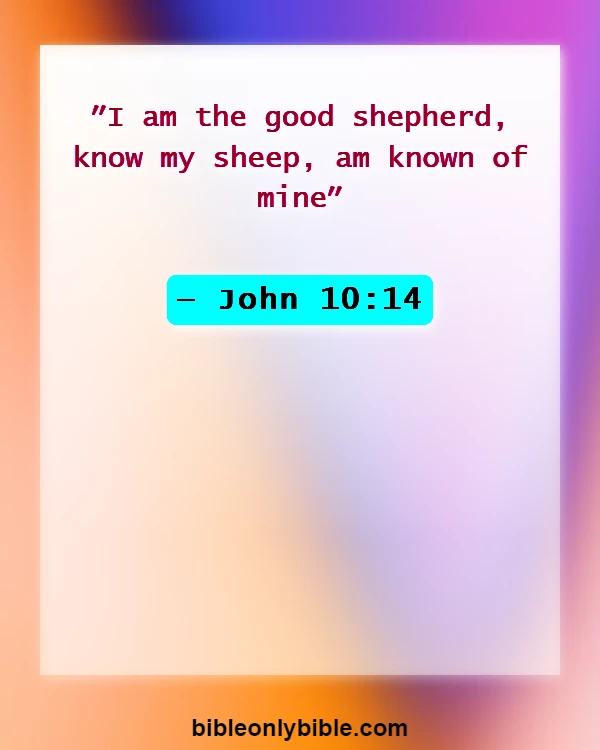 Bible Verses About Knowing God (John 10:14)