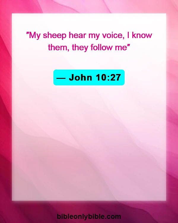 Bible Verses About Finding Your Purpose (John 10:27)