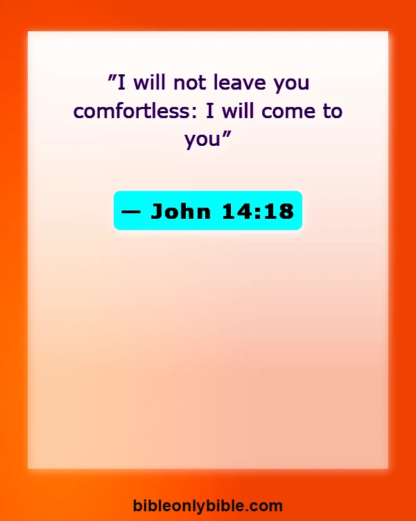 Bible Verses About Sadness And Loneliness (John 14:18)