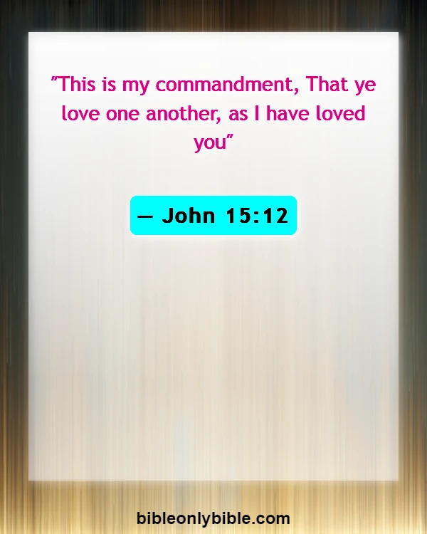 Bible Verses About Disrespecting Others (John 15:12)