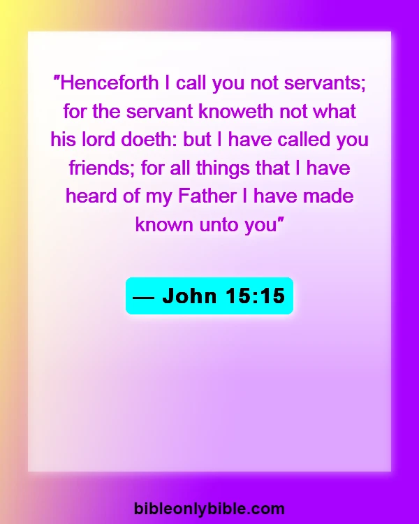 Bible Verses About No Religion Can Save You (John 15:15)