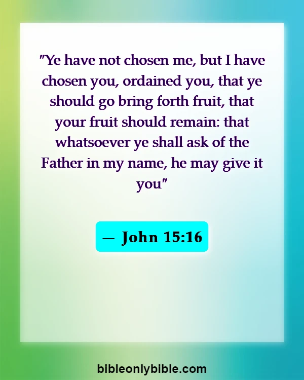 Bible Verses About God Give Us Freedom Of Choice (John 15:16)