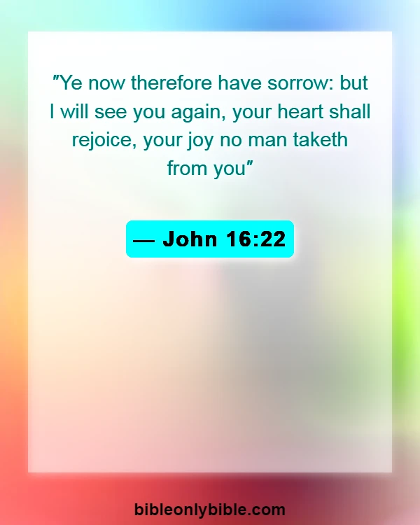 Bible Verses About Rejoice In Trials And Tribulations (John 16:22)