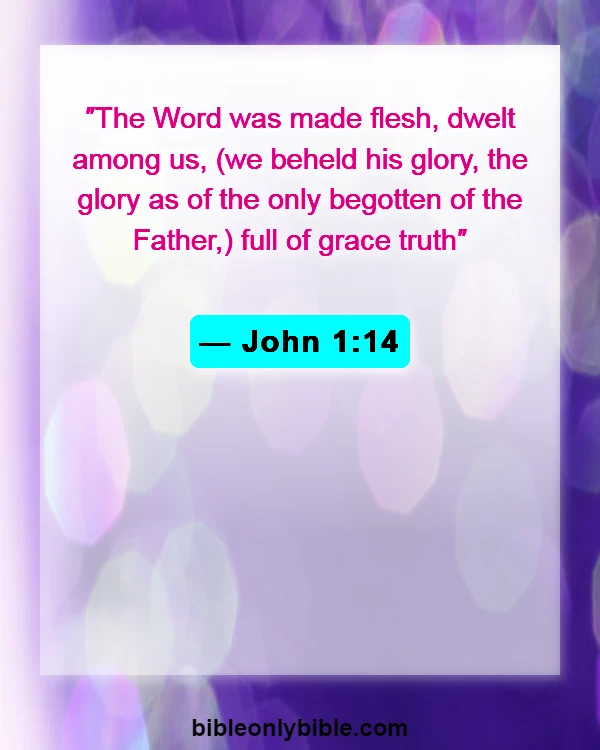 Bible Verses About God Is Humble (John 1:14)
