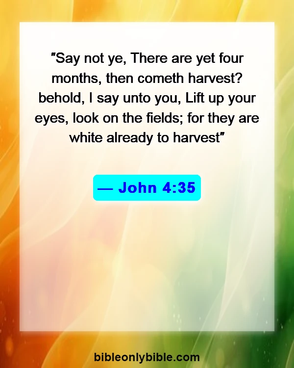 Bible Verses About Time For Everything (John 4:35)