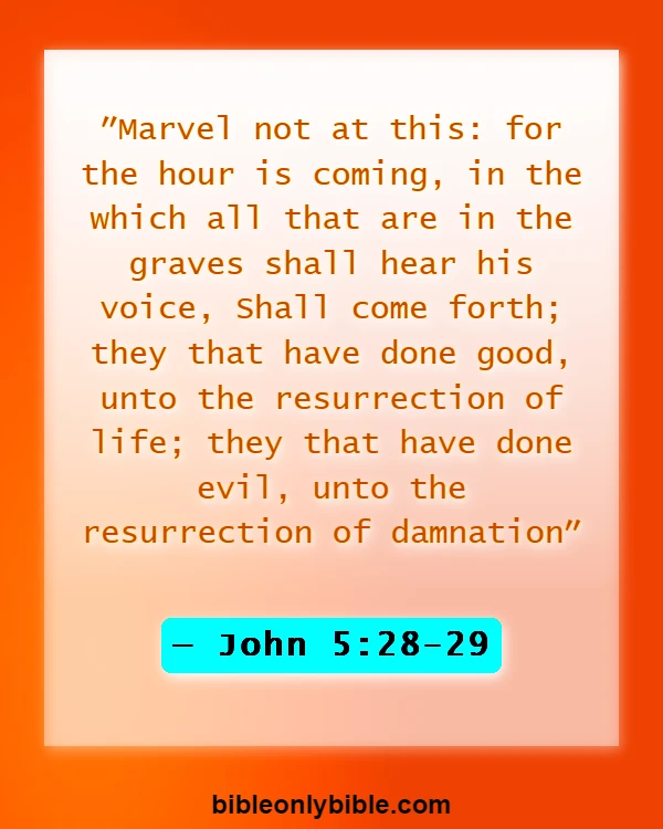 Bible Verses About Heaven And Hell (John 5:28-29)