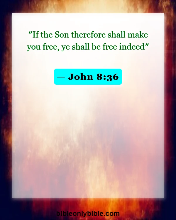Bible Verses About Curses And Blessings (John 8:36)