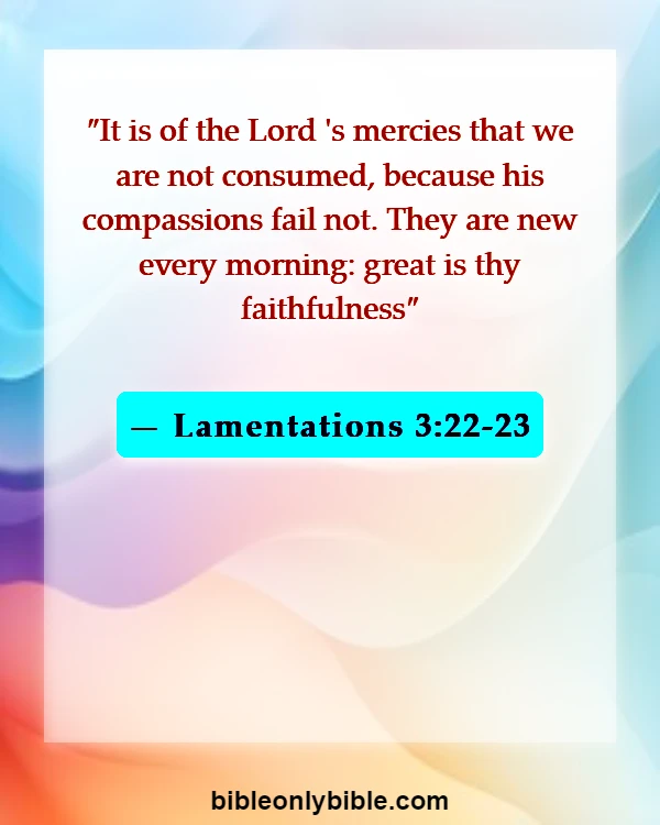 Bible Verses About Despair (Lamentations 3:22-23)