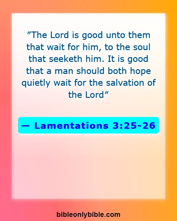 Bible Verses About Patience And God's Timing (Lamentations 3:25-26)