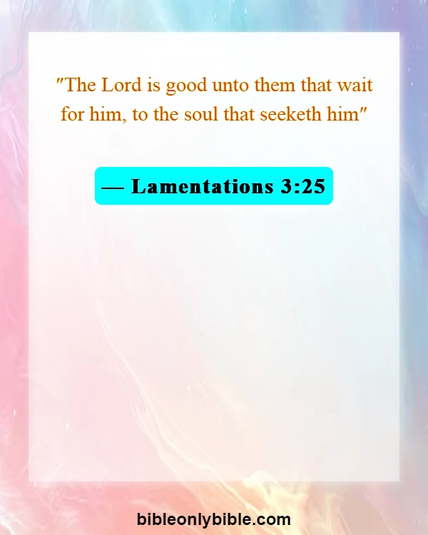 Bible Verses About Patience And Perseverance (Lamentations 3:25)