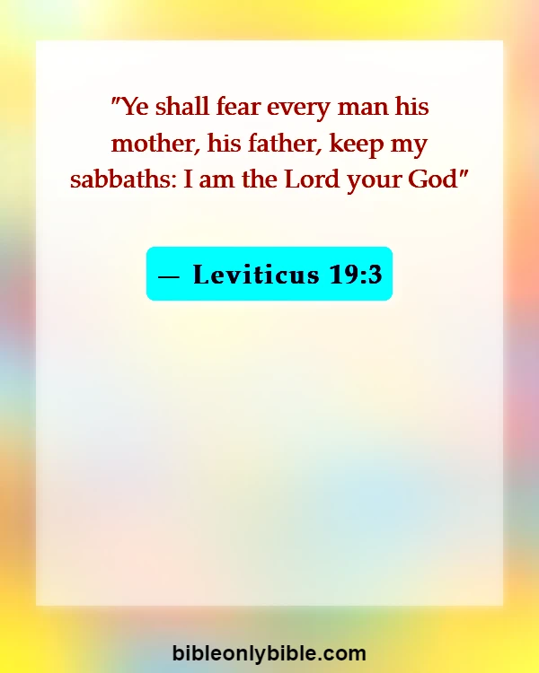 Bible Verses About Disrespecting Your Mother (Leviticus 19:3)