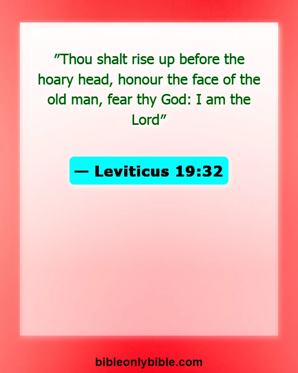 Bible Verses About Disrespecting Others (Leviticus 19:32)