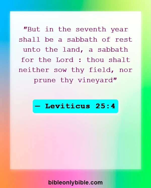 Bible Verses About Farming (Leviticus 25:4)
