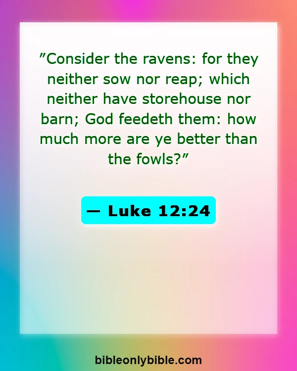 Bible Verses About Work Problems (Luke 12:24)