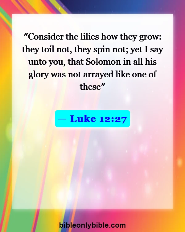 Bible Verses About Flowers Blooming (Luke 12:27)