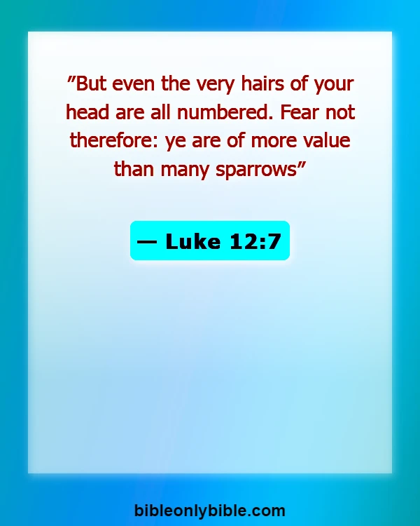 Bible Verses About Respect For Human Life (Luke 12:7)