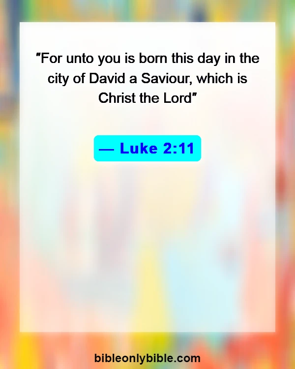 Bible Verses About Christmass (Luke 2:11)