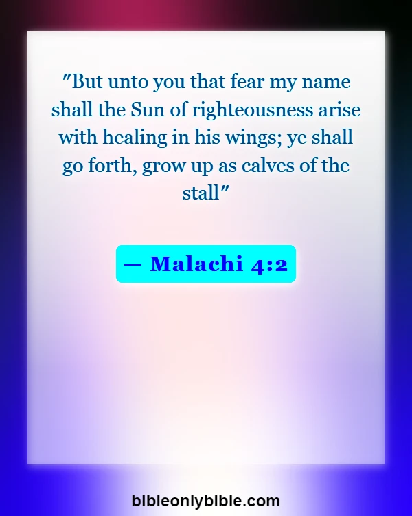 Bible Verses About Sun (Malachi 4:2)