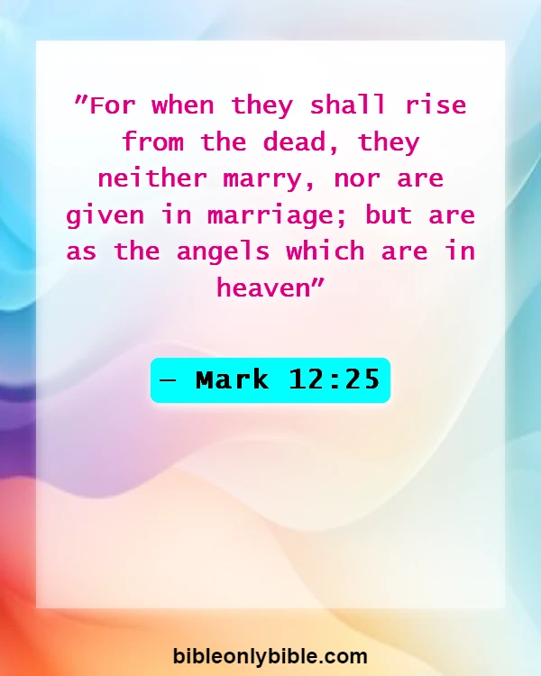 Bible Verses About Husband And Wife Reunited In Heaven (Mark 12:25)