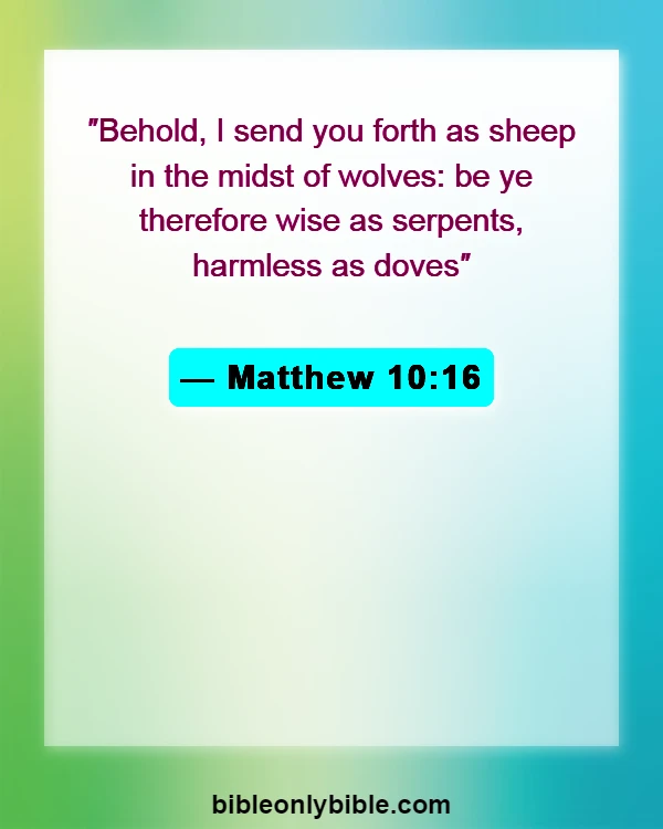 Bible Verses About Manipulation (Matthew 10:16)
