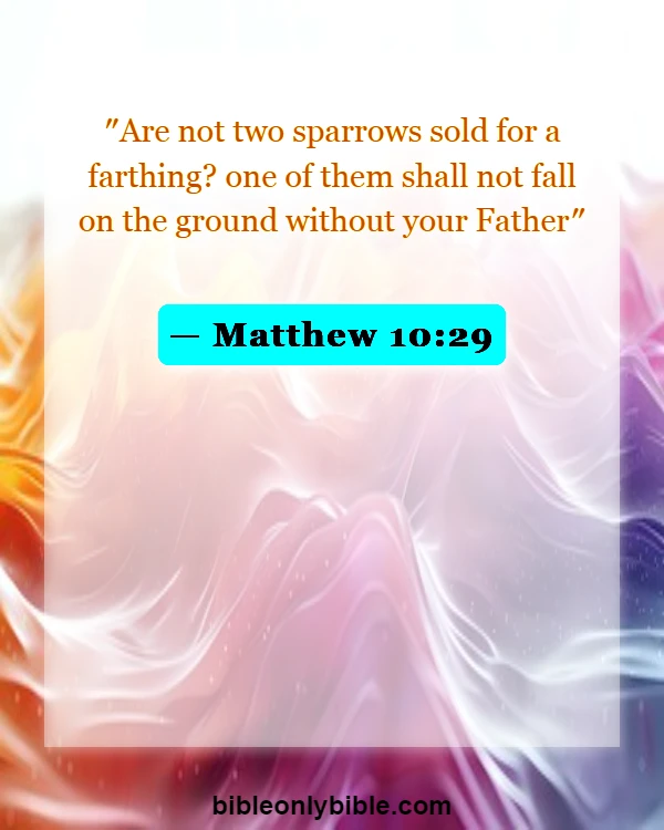 Bible Verses About God Being In Control (Matthew 10:29)