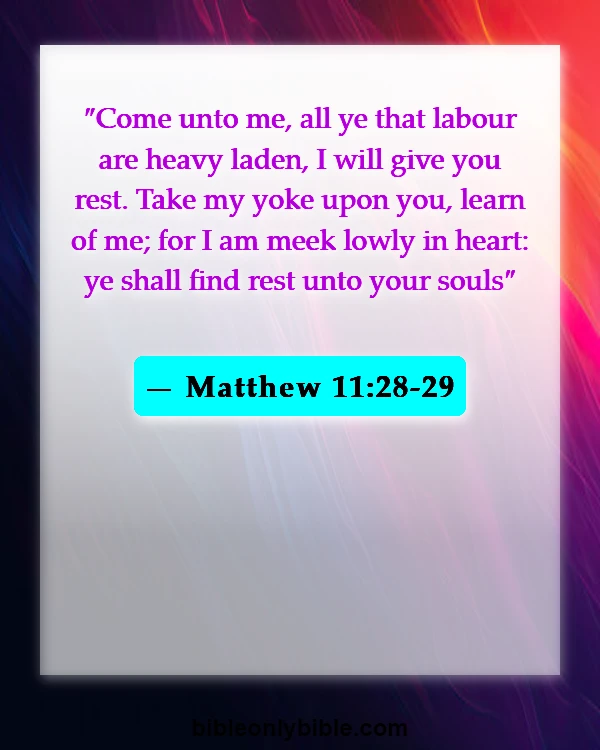 Bible Verses About Cheating Husband (Matthew 11:28-29)
