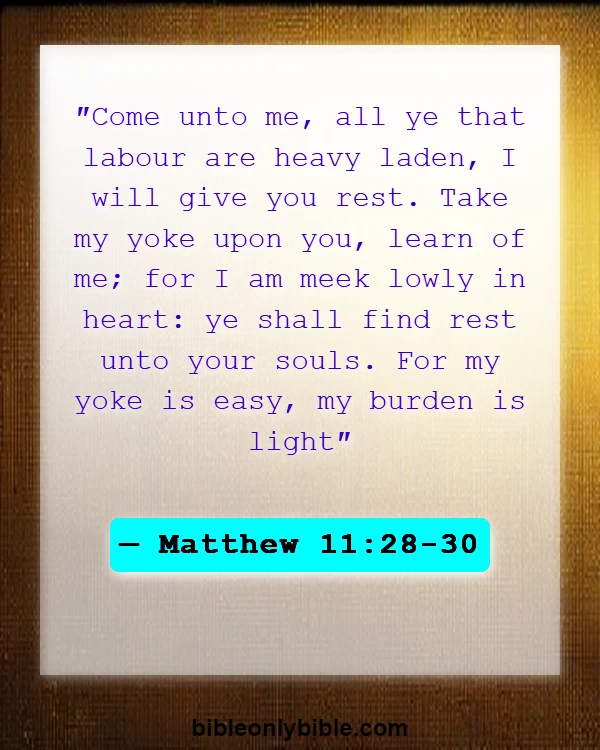 Bible Verses About Despair (Matthew 11:28-30)