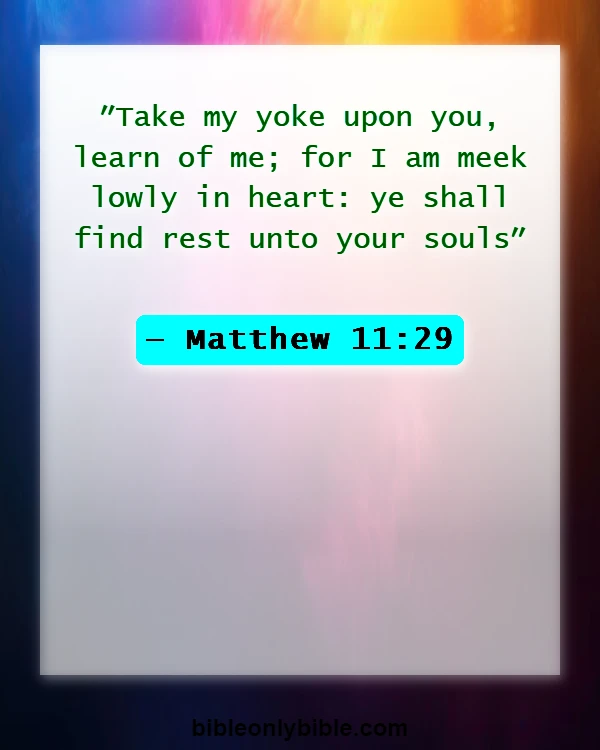 Bible Verses About Spiritual Training (Matthew 11:29)