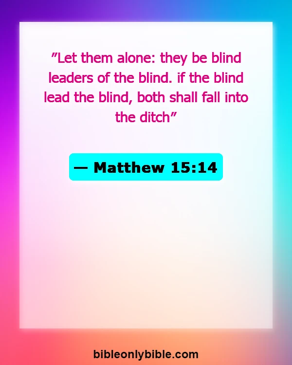 Bible Verses About Do Not Argue With A Fool (Matthew 15:14)