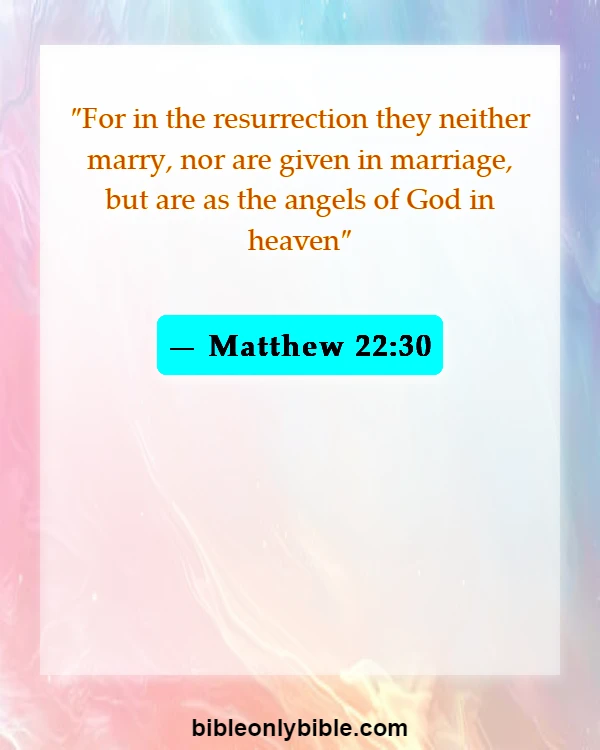 Bible Verses About Husband And Wife Reunited In Heaven (Matthew 22:30)
