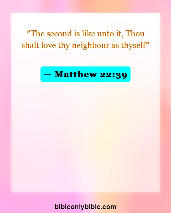 Bible Verses About Hate The Sin Love The Sinner (Matthew 22:39)