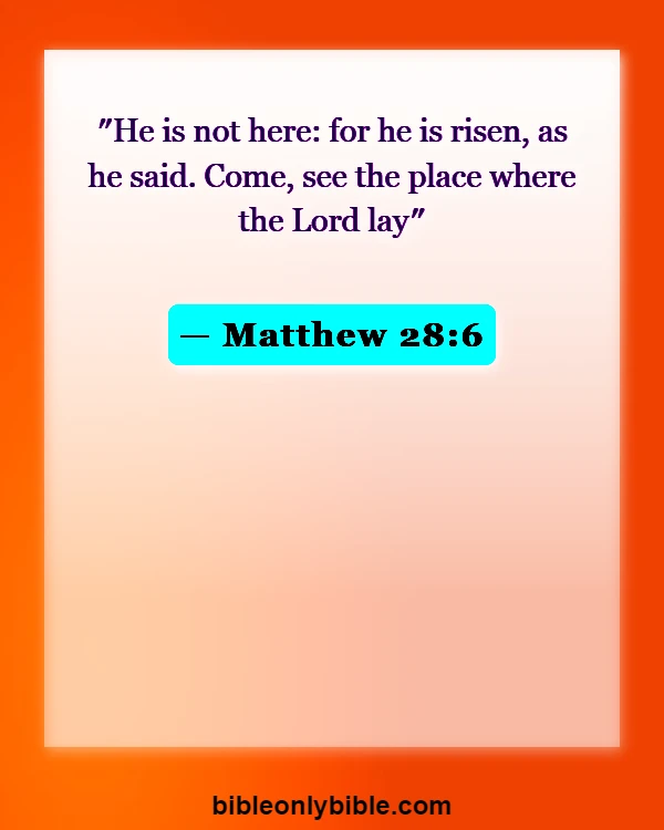 Bible Verses About Jesus (Matthew 28:6)