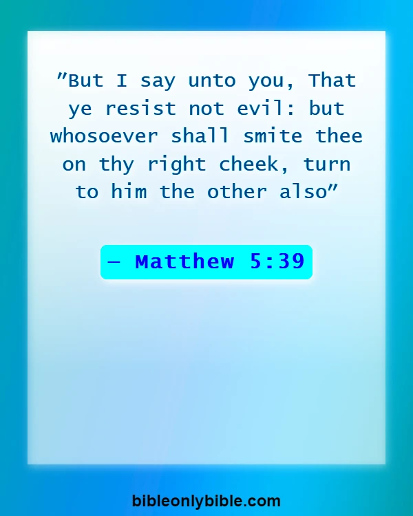 Bible Verses About Bless Those Who Persecute You (Matthew 5:39)