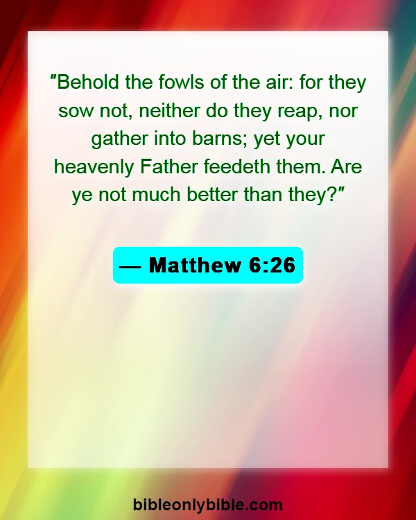Bible Verses About Fall (Matthew 6:26)