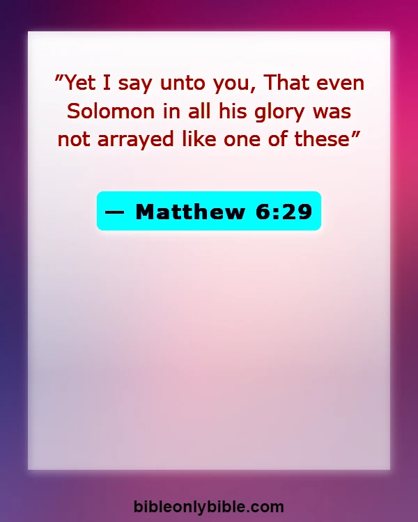 Bible Verses About Roses (Matthew 6:29)