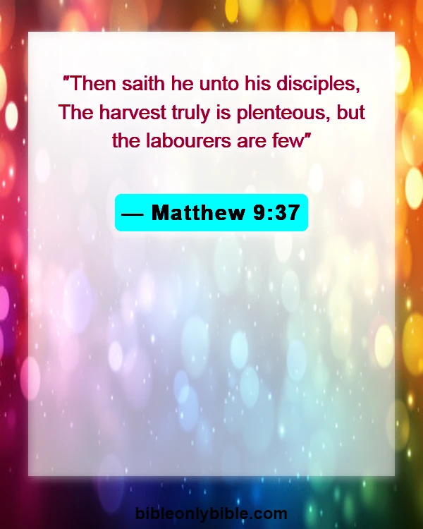 Bible Verses About Fall (Matthew 9:37)
