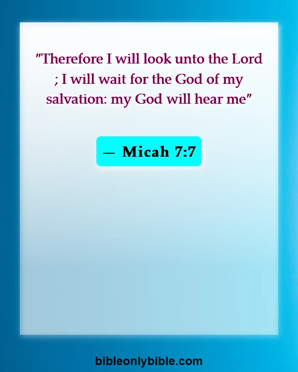 Bible Verses About Patience And Perseverance (Micah 7:7)