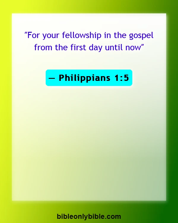 Bible Verses About Partnership (Philippians 1:5)